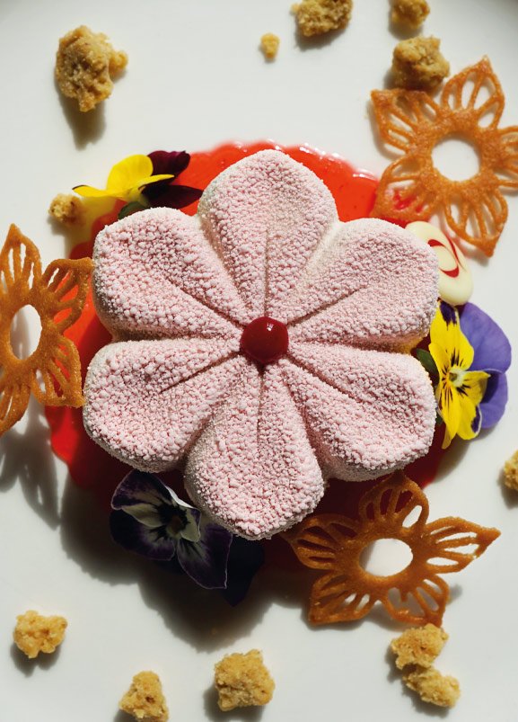 ASPIC-DI-FRAGOLA